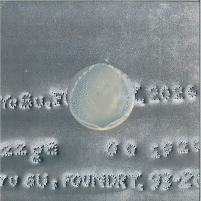 Yu Su — Foundry LP vinyl cover