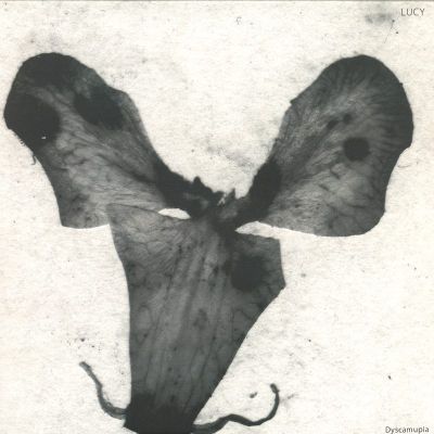 Lucy — Dyscamupia vinyl cover