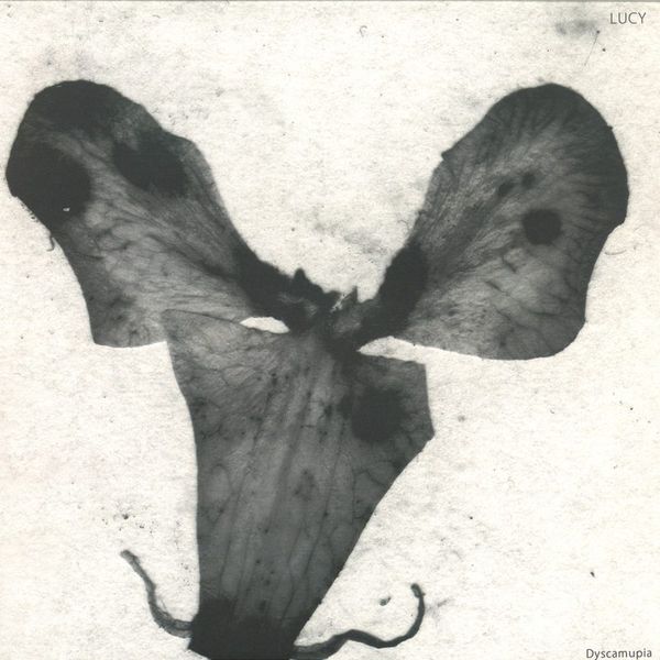 Lucy — Dyscamupia vinyl cover