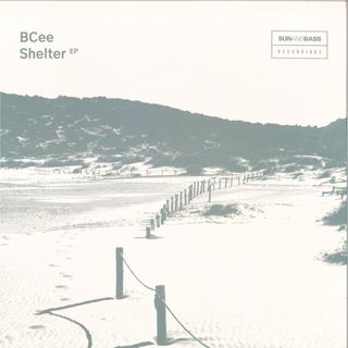 BCee — Shelter EP vinyl cover