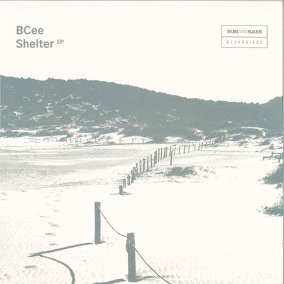 BCee — Shelter EP vinyl cover