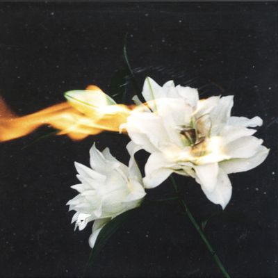 Aperture — Stanze vinyl cover