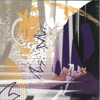Des Coda — Mean Field Mutation LP vinyl cover
