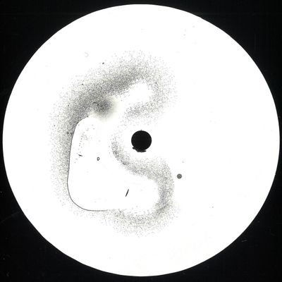 emer — Fog LP vinyl cover