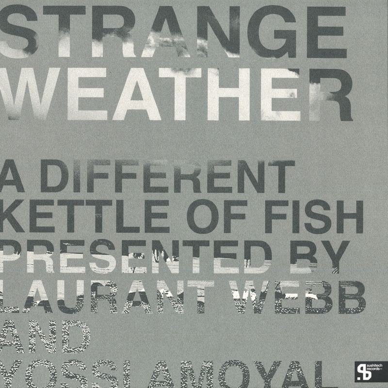 Laurant Webb, Yossi Amoyal — Strange Weather : A Different Kettle Of Fish vinyl cover
