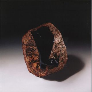Maenad Veyl, The Sarcasm Ensemble — Comfort in Misery LP vinyl cover