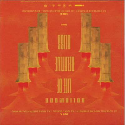 Solidwood — LIFE OF A RELATIVE BLISS vinyl cover