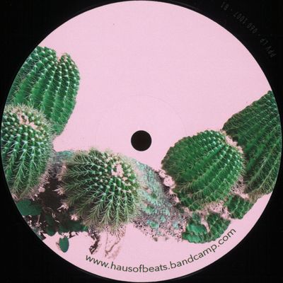 A-Tweed X Oltrefuturo — Echinopsis EP vinyl cover