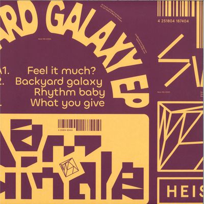 Dam Swindle — Backyard galaxy EP vinyl cover