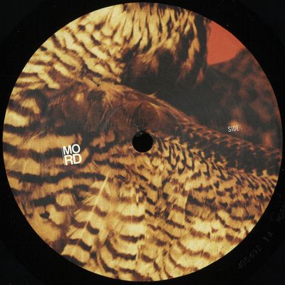 Amorphic, Tensal — Highland Frequencies EP vinyl cover