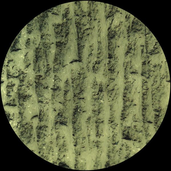 Idu Berg — Dilettantes vinyl cover