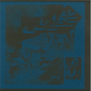 dj echotree — These Rays of Sun which illuminated the Darkness of my Body and my Mind left Room for subjective Int vinyl cover