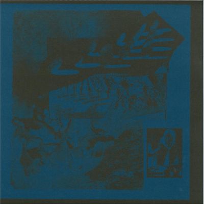 dj echotree — These Rays of Sun which illuminated the Darkness of my Body and my Mind left Room for subjective Int vinyl cover