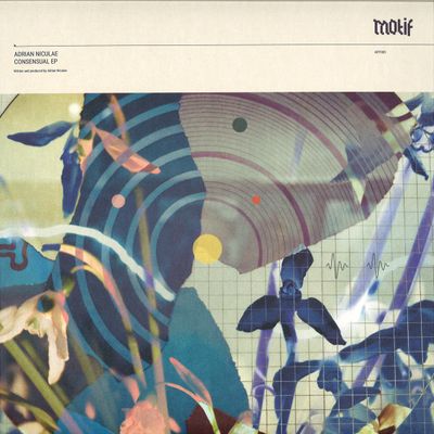 Adrian Niculae — Consensual Ep vinyl cover