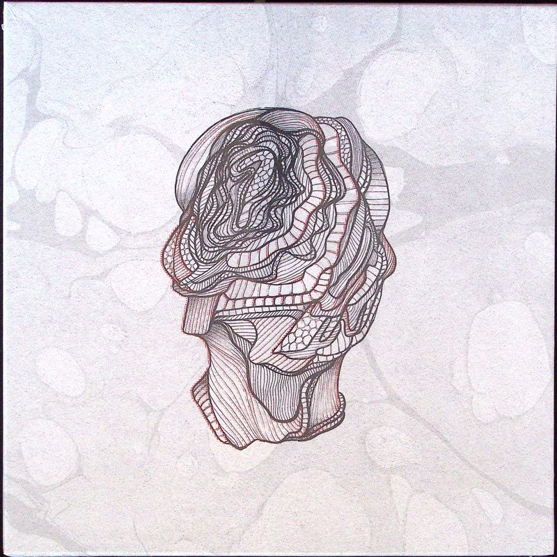 Calibre — Little Foot (Vinyl Box Set LP 5x12") vinyl cover