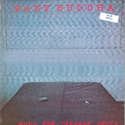Baby Buddha — MUSIC FOR TEENAGE SECTS LP vinyl cover