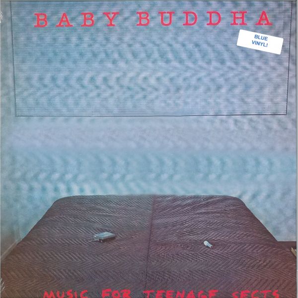 Baby Buddha — MUSIC FOR TEENAGE SECTS LP vinyl cover