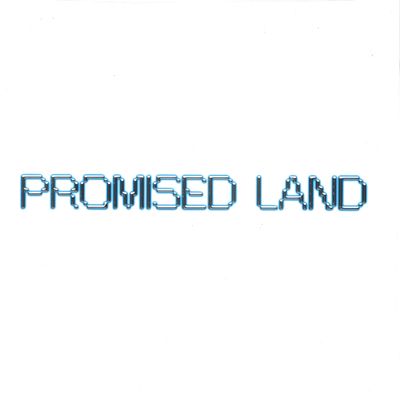 Vintage Culture — Promised Land LP 2x12" vinyl cover