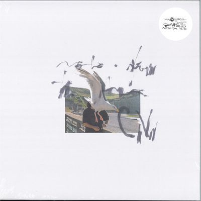 Ciro Vitiello — NOTES FROM THE AIR vinyl cover