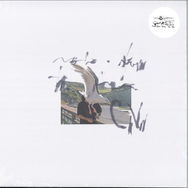 Ciro Vitiello — NOTES FROM THE AIR vinyl cover