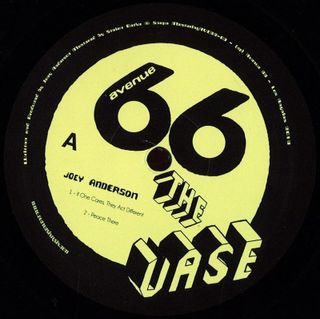 Joey Anderson — The Vase vinyl cover
