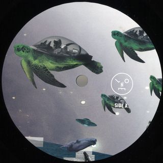 Sasha — How to Wear Raybans Well vinyl cover