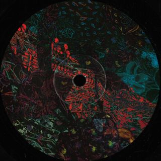 Ian Pooley — Floris vinyl cover
