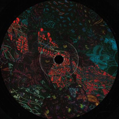 Ian Pooley — Floris vinyl cover