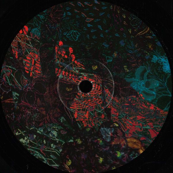 Ian Pooley — Floris vinyl cover