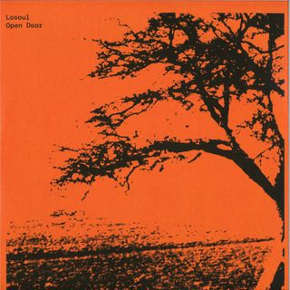 Losoul — Open Door 2x12" vinyl cover