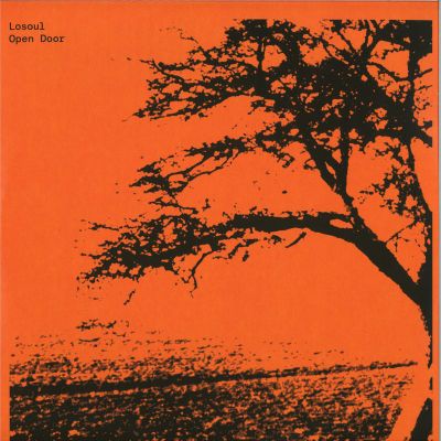 Losoul — Open Door 2x12" vinyl cover