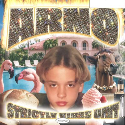 Arno — Strictly Vibes Unit 2x12" vinyl cover