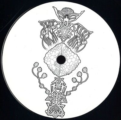 Pfirter/Pär Grindvik/Diego Amura — Mutable Minds vinyl cover