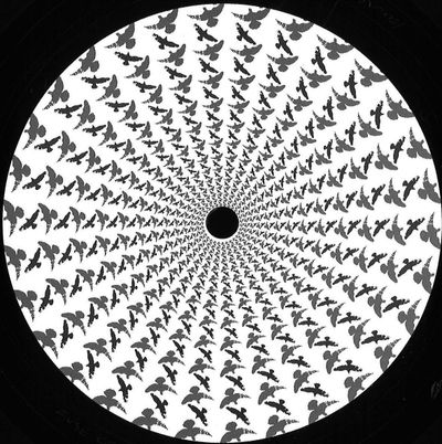 Seb Zito — Theory To Start EP vinyl cover