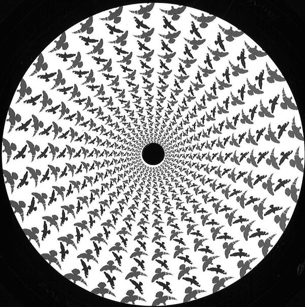 Seb Zito — Theory To Start EP vinyl cover