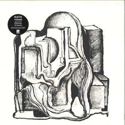 Nate Young — Volume One: Dilemmas Of Identity LP vinyl cover