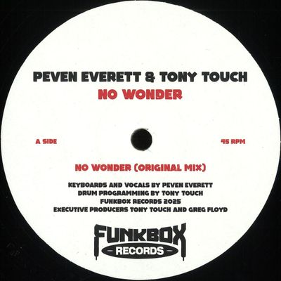 Peven Everett, Tony Touch — No Wonder vinyl cover