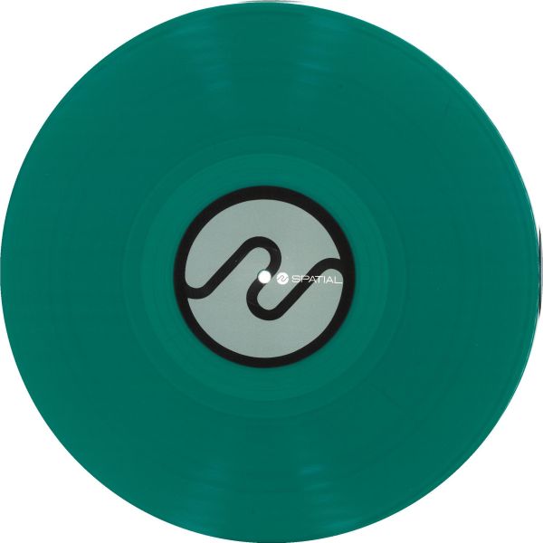 Asc — Next Time You Fall 2x12" vinyl cover