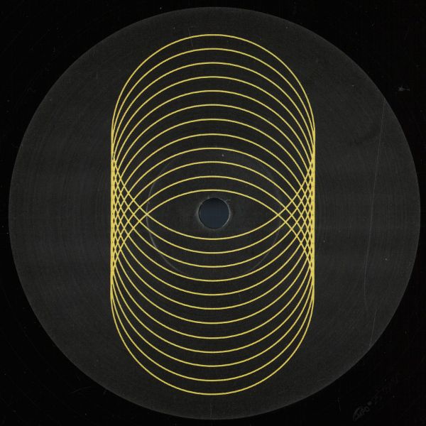 Mita Gami, Erez — Where’s My Voice? vinyl cover