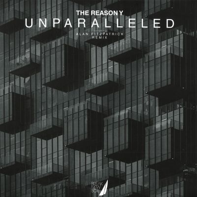The Reason Y — Unparalleled vinyl cover