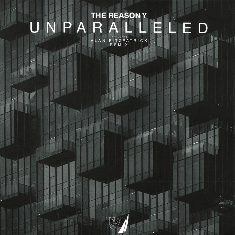 The Reason Y — Unparalleled vinyl cover