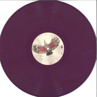 C.ysme, Dina Rocaille — Tichrodrome vinyl cover
