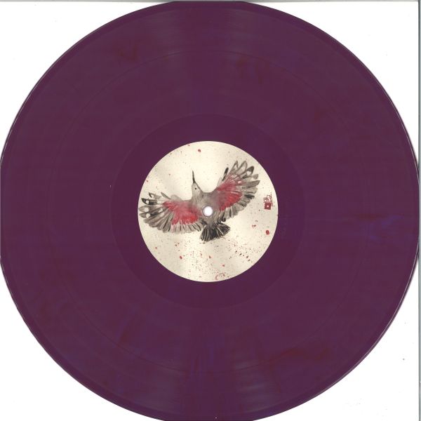 C.ysme, Dina Rocaille — Tichrodrome vinyl cover