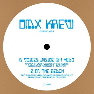DMX Krew — Voices Inside My Head 10" vinyl cover