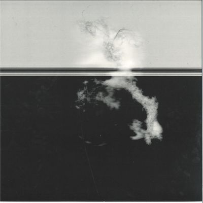 Vera Dvale, Psykovarius — Avav vinyl cover