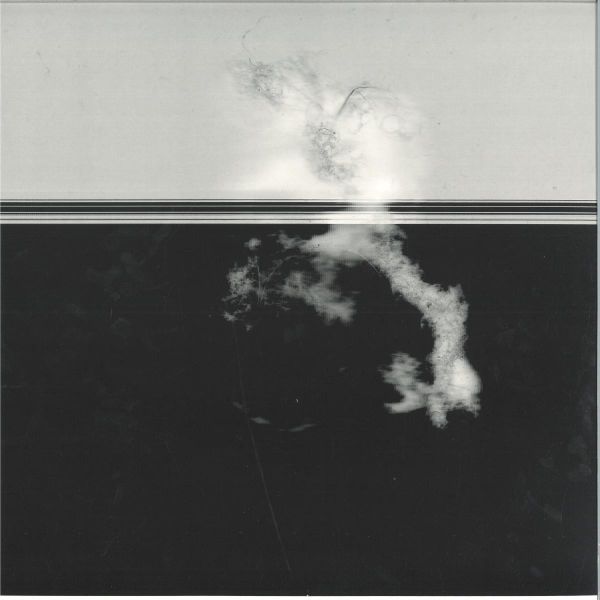 Vera Dvale, Psykovarius — Avav vinyl cover