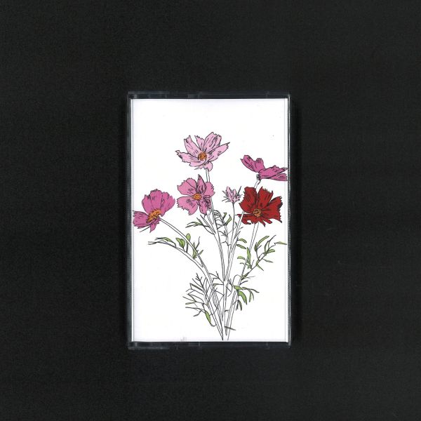 E Ruscha V — Music to Watch Seeds Grow By 004: E Ruscha V (Cosmos) vinyl cover