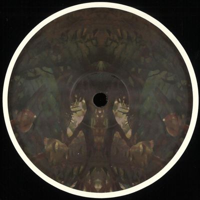 Birds ov Paradise — Bayou vinyl cover