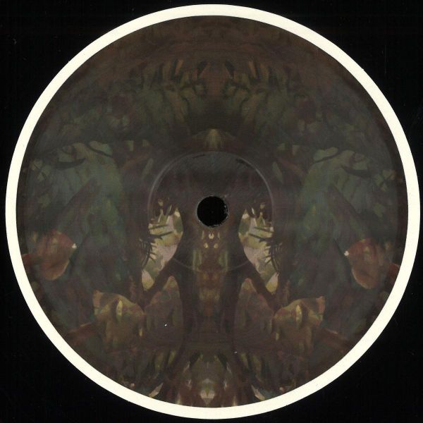 Birds ov Paradise — Bayou vinyl cover
