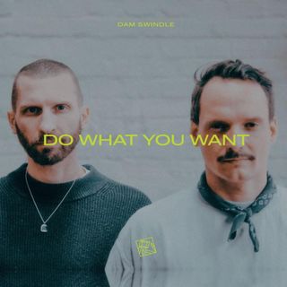Dam Swindle — Do What You Want vinyl cover